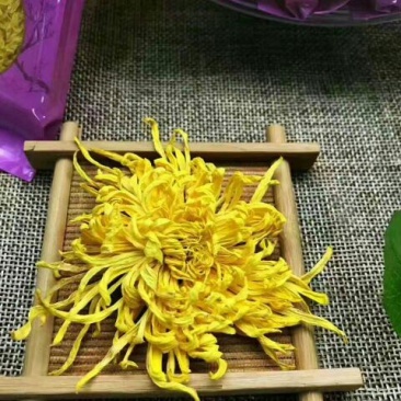 皇菊茶特级