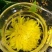皇菊茶特级