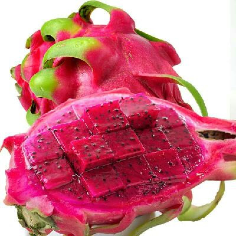 红心火龙果苗10~20种苗