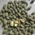 美国大杏仁特级