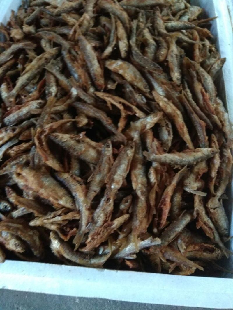 东江湖`油炸叼子鱼
