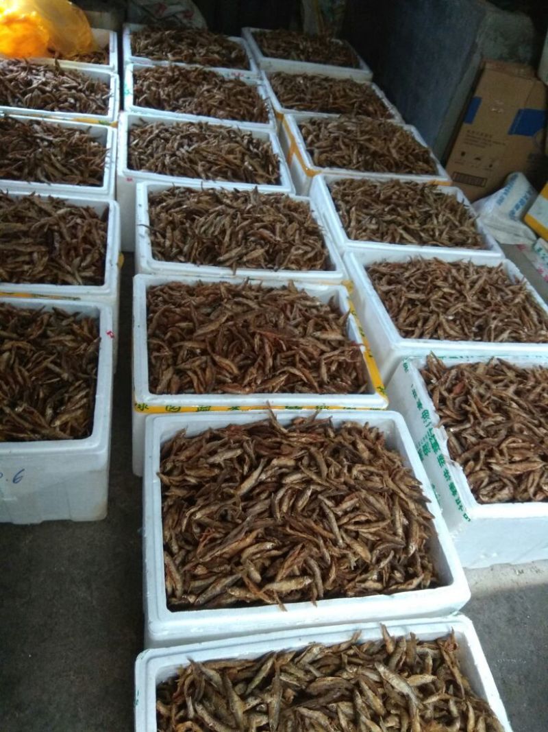 东江湖`油炸叼子鱼