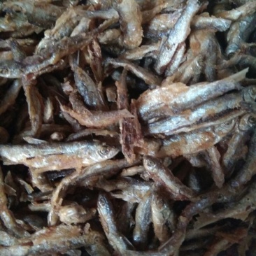 东江湖`油炸叼子鱼