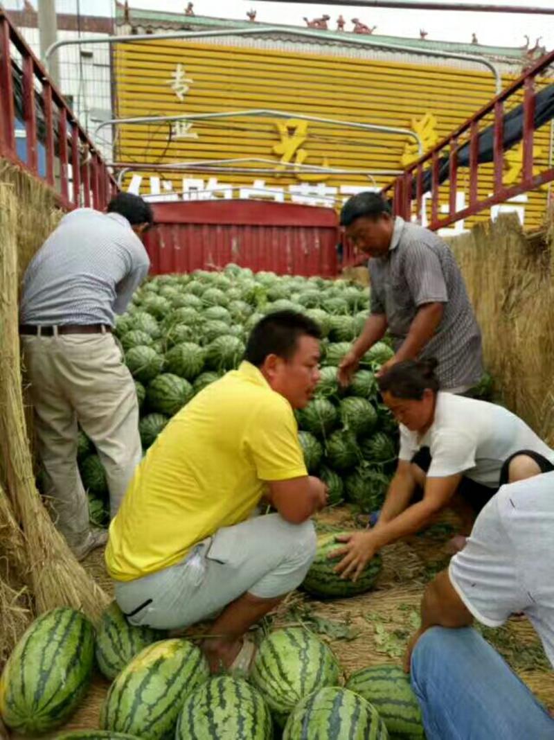 【精品冠龙西瓜】，冠龙西瓜大量供应中，产地直售保质保量