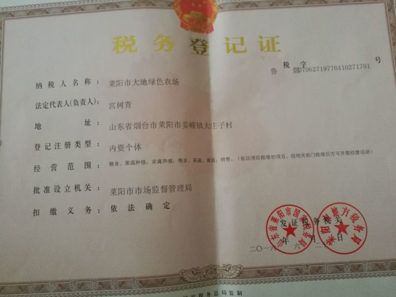 秋月梨秋月梨