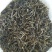 老树茶末茶