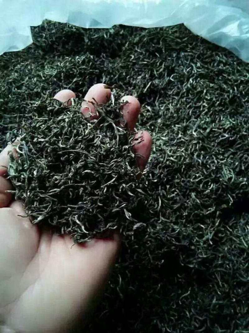 老树茶末茶