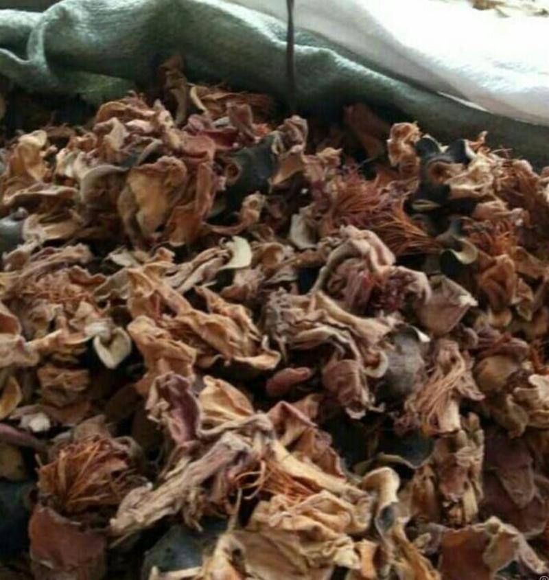 木棉花各种中药材批发质量保证产地直销