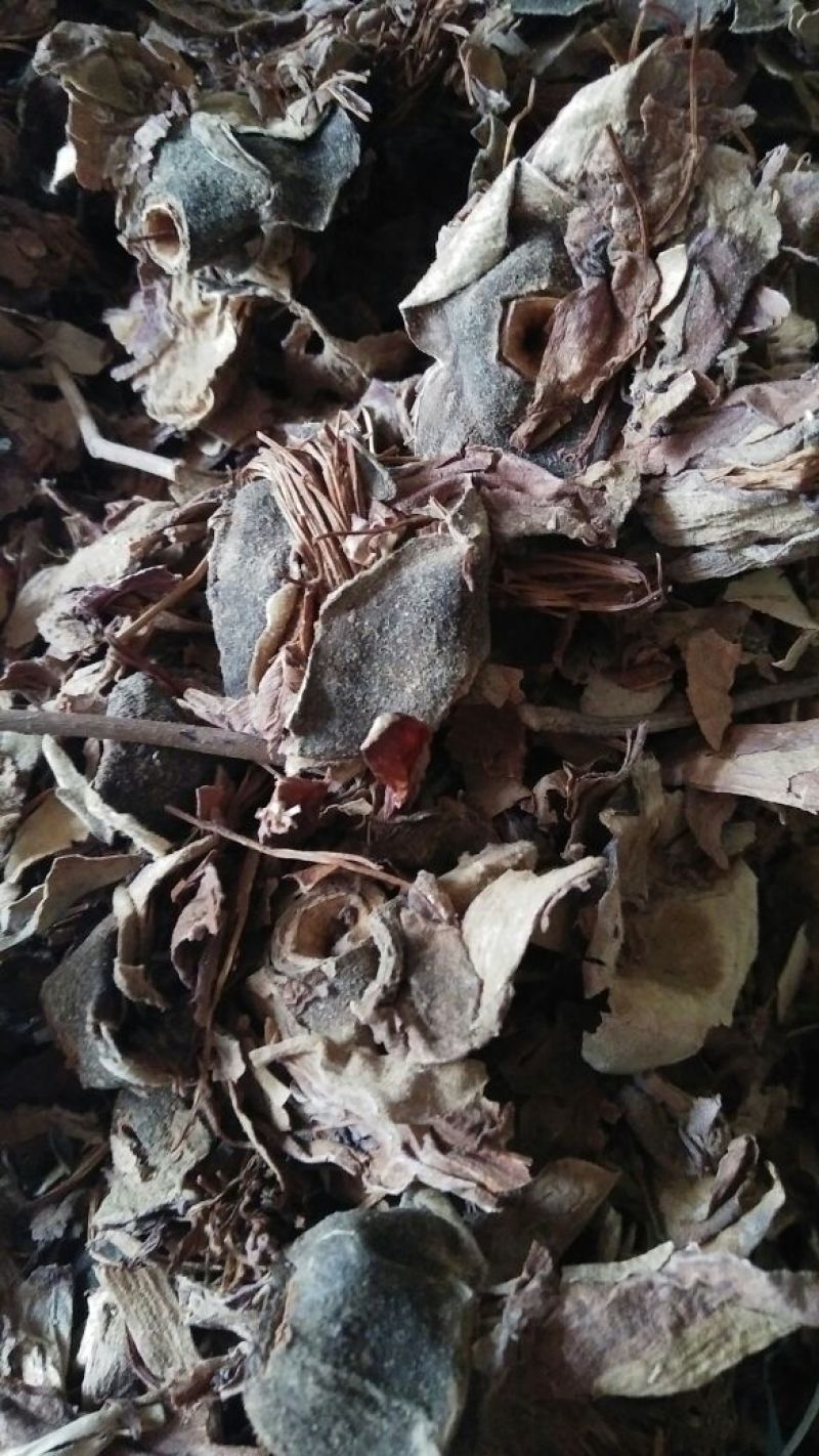 木棉花各种中药材批发质量保证产地直销