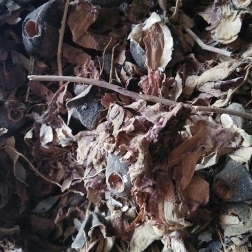 木棉花各种中药材批发质量保证产地直销