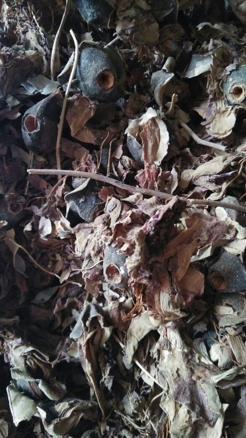 木棉花各种中药材批发质量保证产地直销