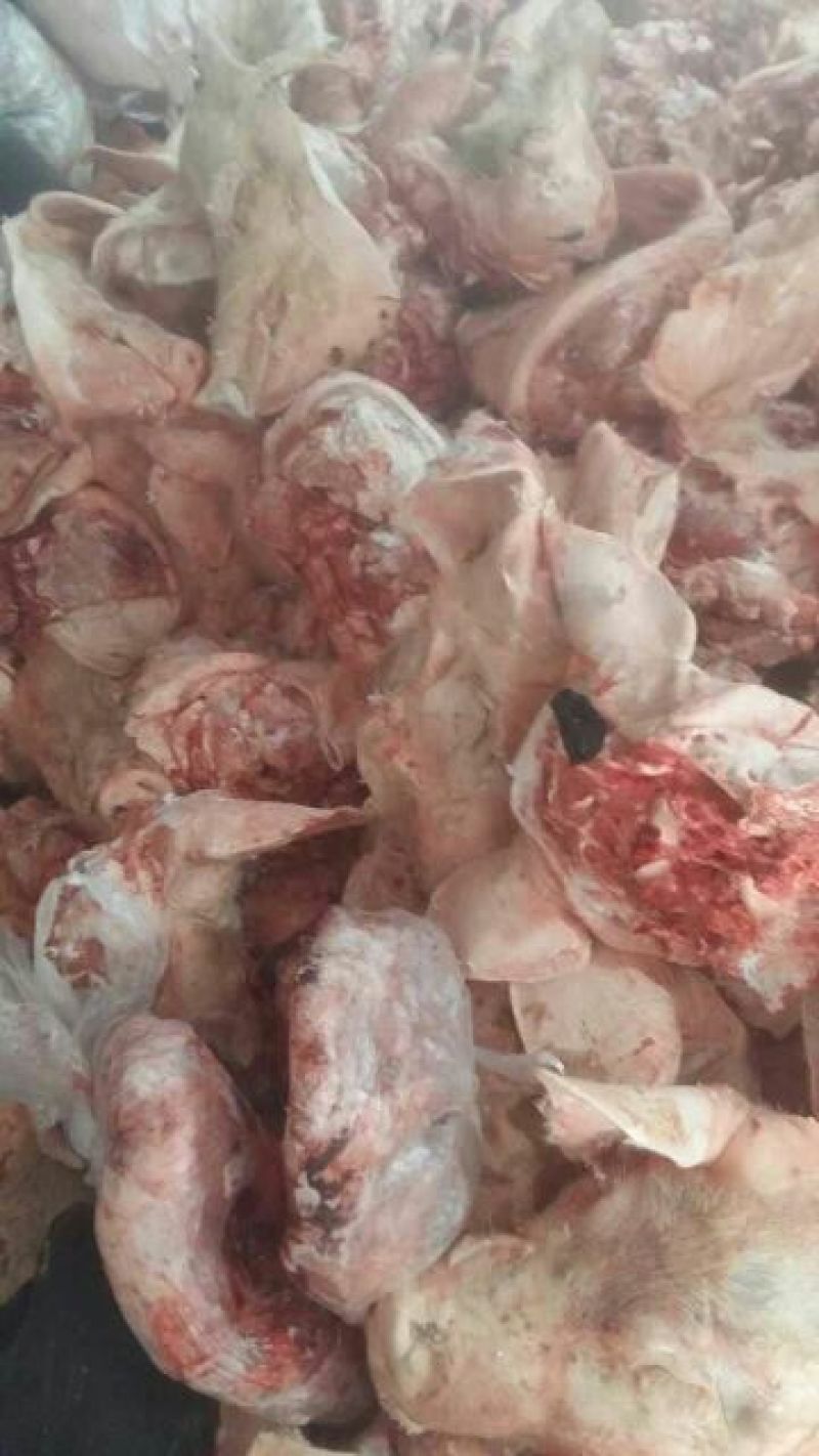 猪头肉散装