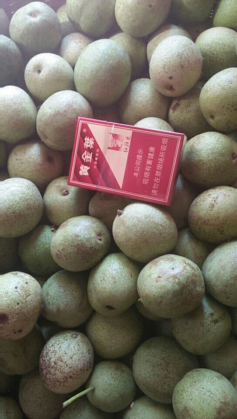 青皮核桃青皮湿