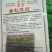 【有好货】泡椒种子牛角椒，308椒