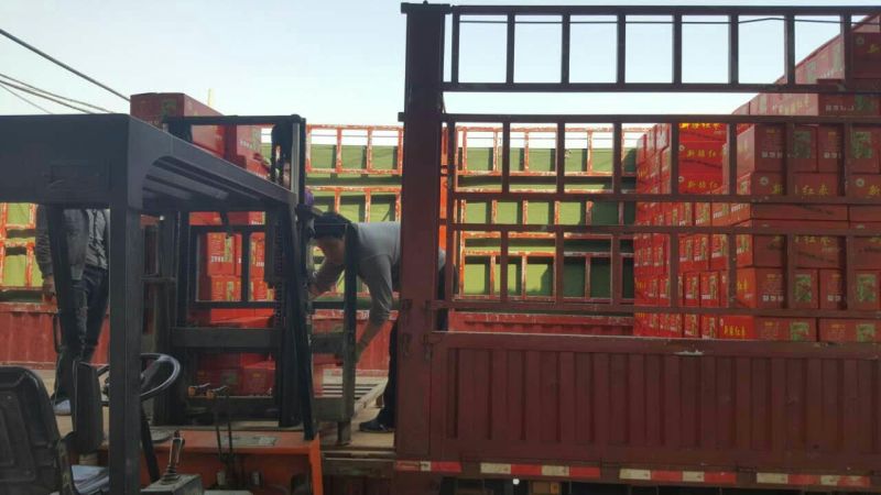 若羌灰枣厂家批发供应电商拼多多产品厂家直销一手货源
