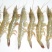 基围虾青岛大虾大虾，肉质鲜嫩爽滑现货秒发