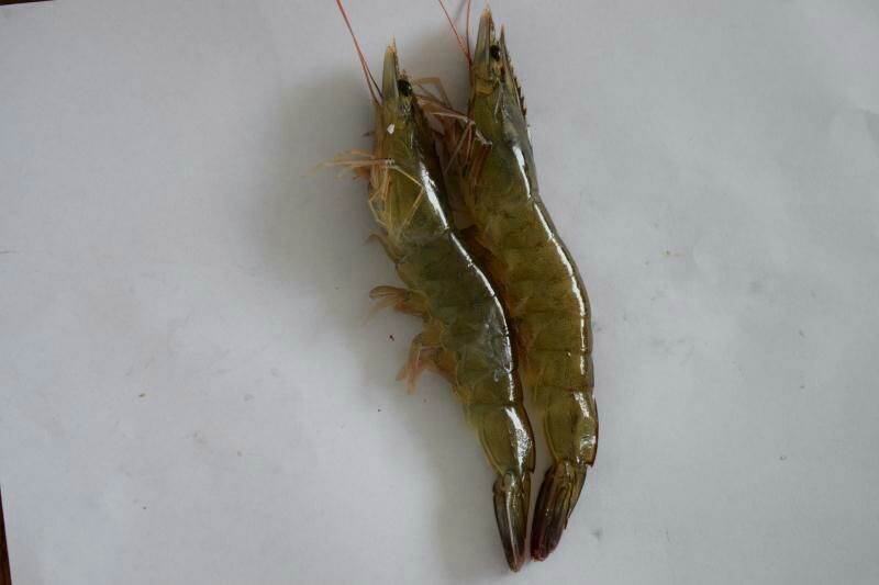 基围虾青岛大虾大虾，肉质鲜嫩爽滑现货秒发
