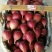 布兰瑞克无花果苗50~80cm