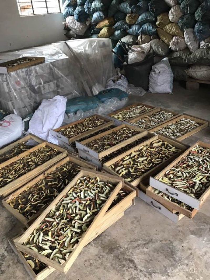 干牛肝菌羊肚菌特级