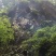 土蜂蜜1斤