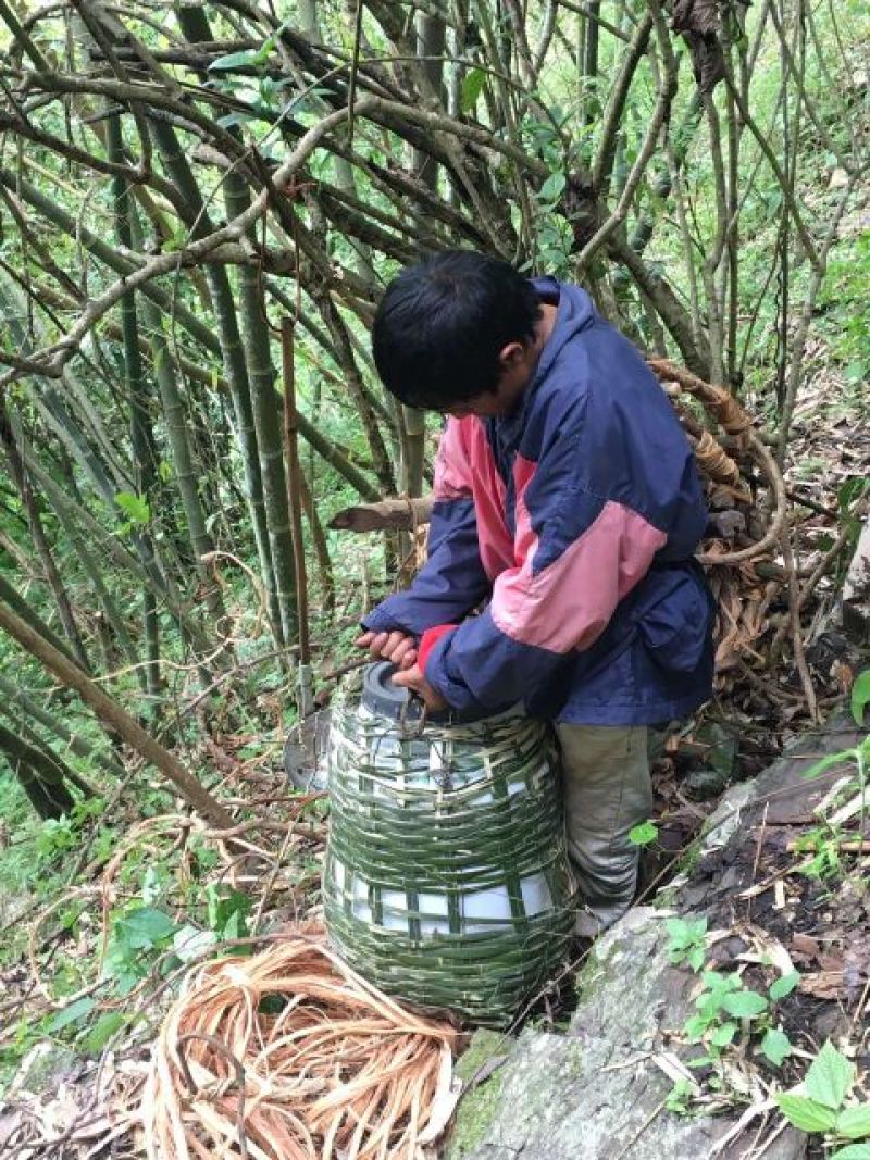 土蜂蜜1斤