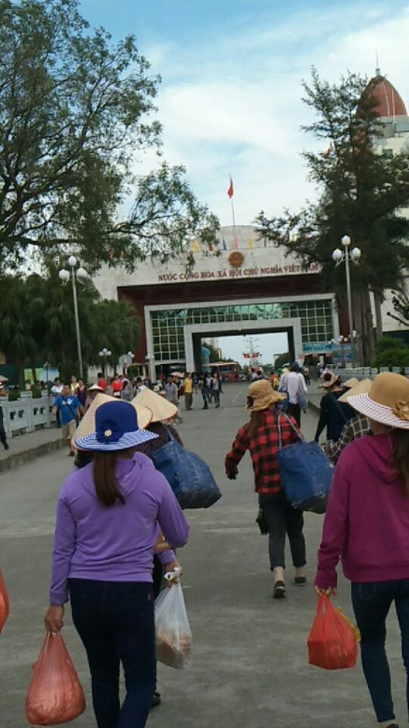 茶叶一级，没有香精的茶叶，一手货源