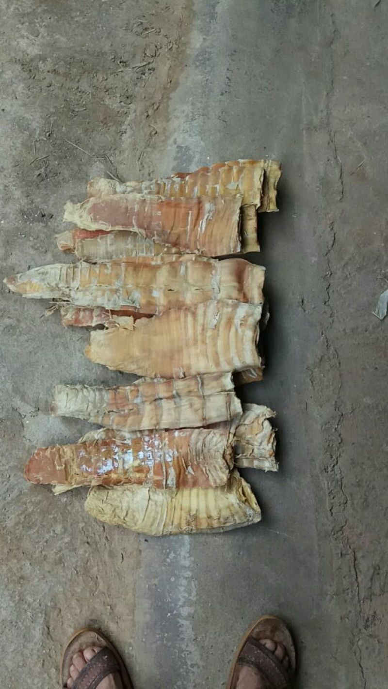 水煮笋干淡笋干