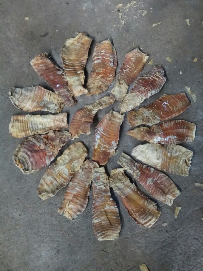 水煮笋干淡笋干
