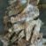 水煮笋干淡笋干