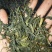 普洱茶末茶