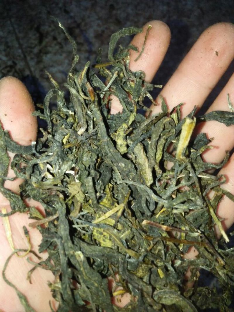 普洱茶末茶