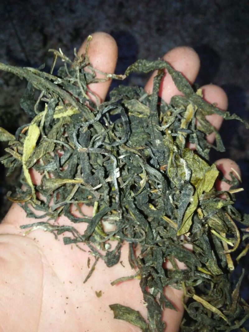 普洱茶末茶