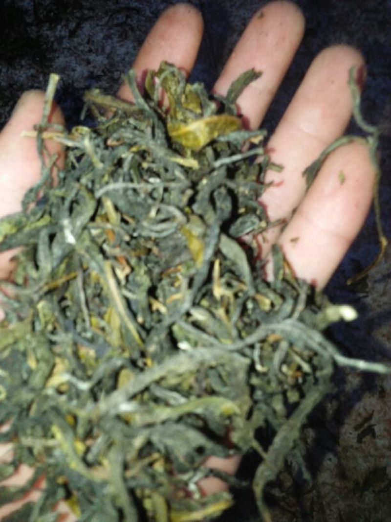 普洱茶末茶