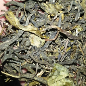 普洱茶末茶
