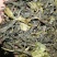 普洱茶末茶