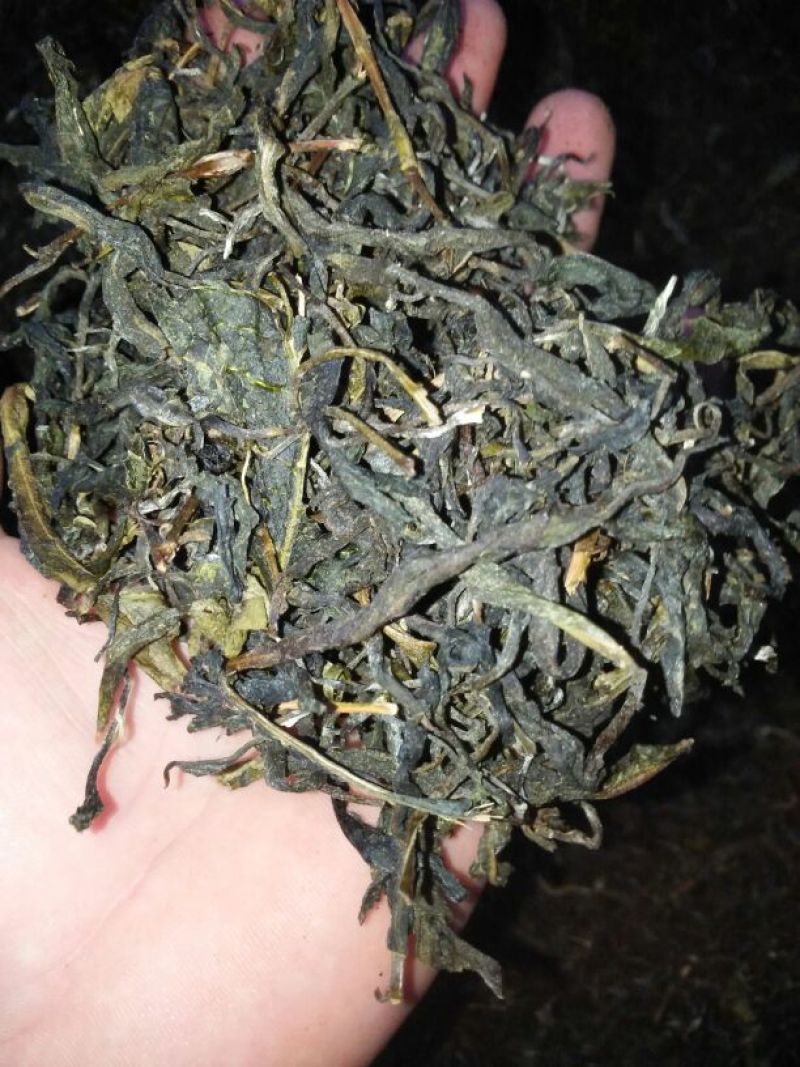 普洱茶末茶