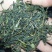 普洱茶末茶