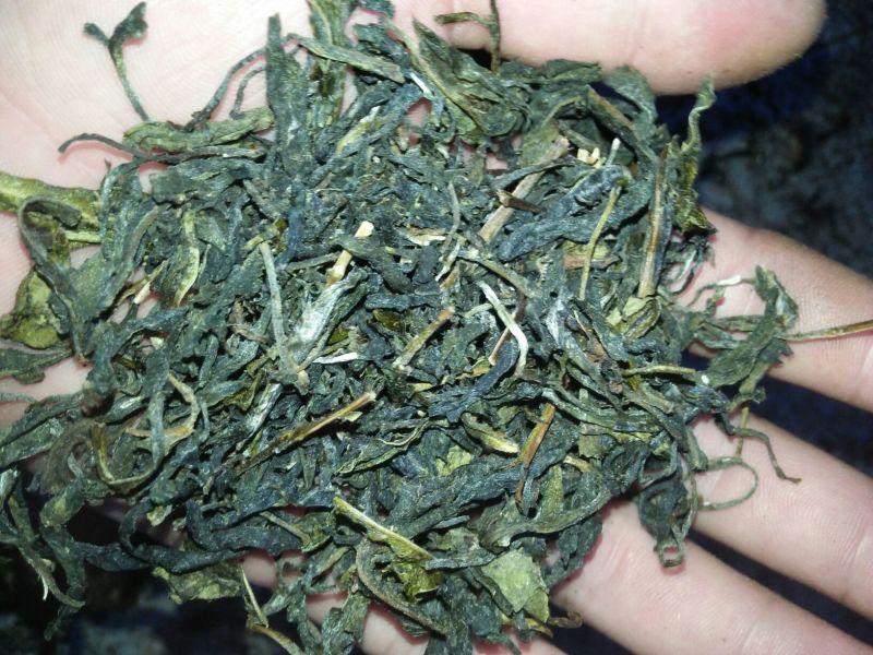 普洱茶末茶