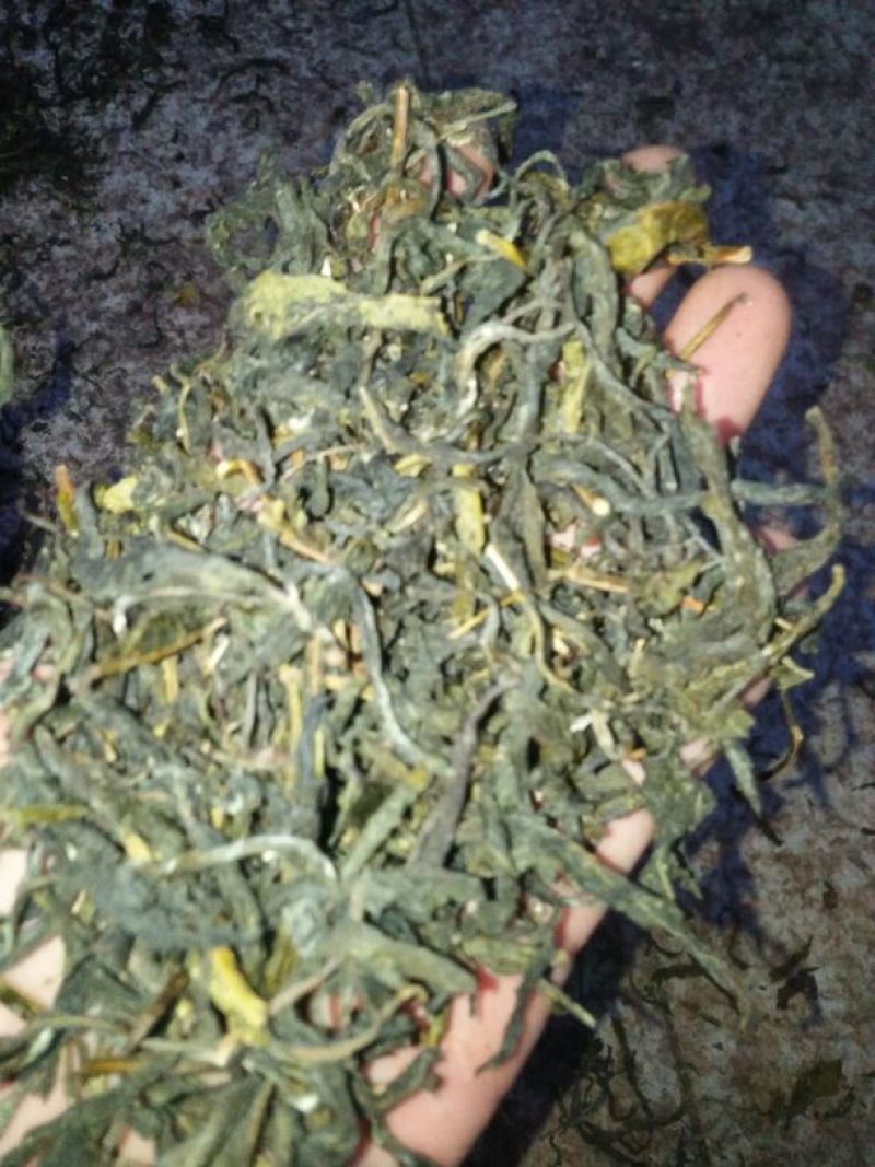 普洱茶末茶