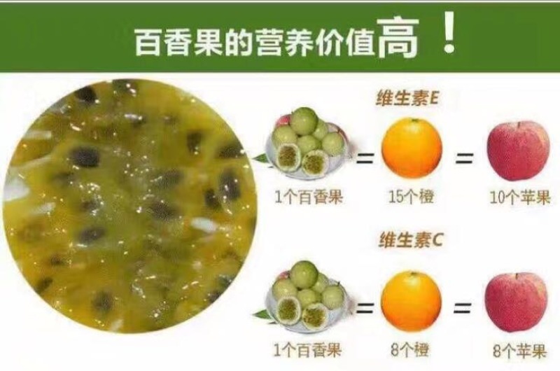 满天星百香果苗20~30cm