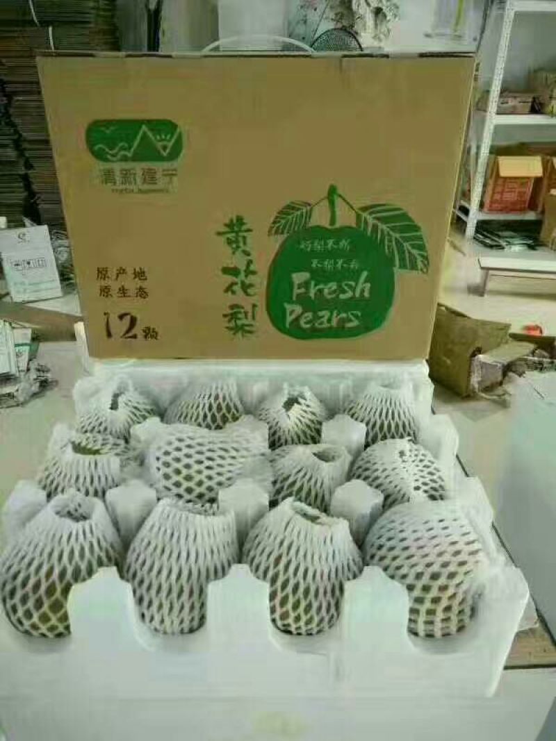 翠冠梨纸箱150~200g