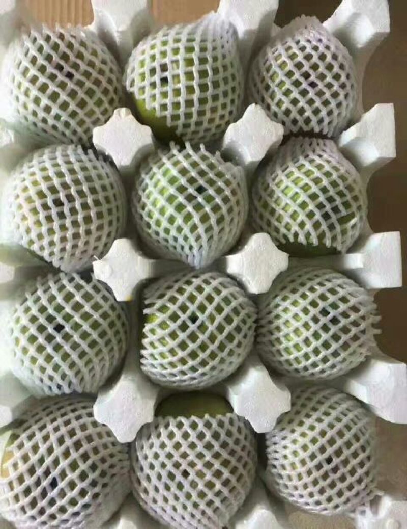 翠冠梨纸箱150~200g