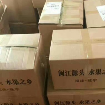 皇冠梨纸箱200~250g