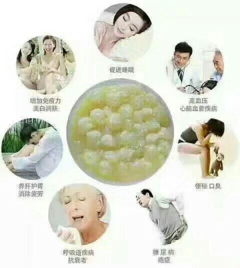 中蜂平箱装