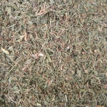 萹蓄萹蓄片子，干净无草
