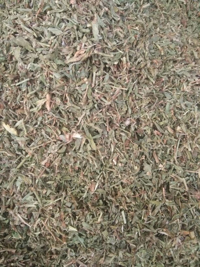 萹蓄萹蓄片子，干净无草