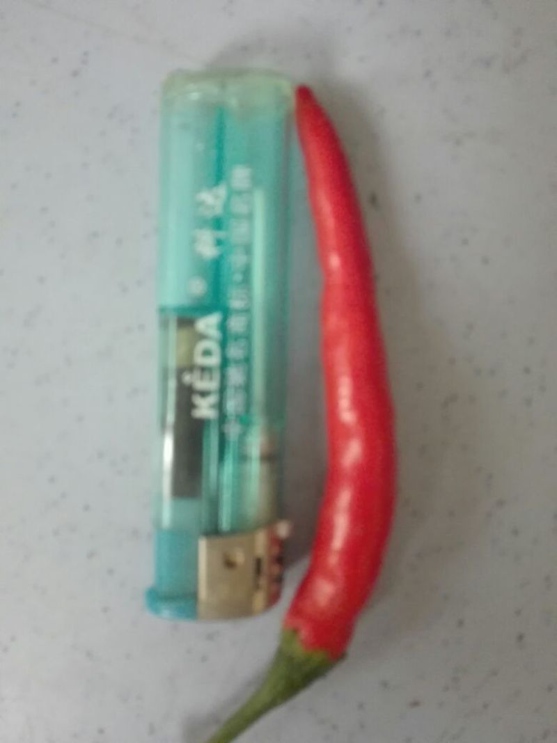 小米椒5~10厘米红特辣