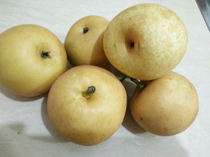 翠冠梨100~150g纸袋