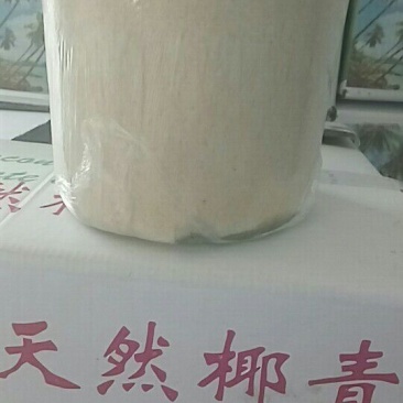 椰子2.5~3斤