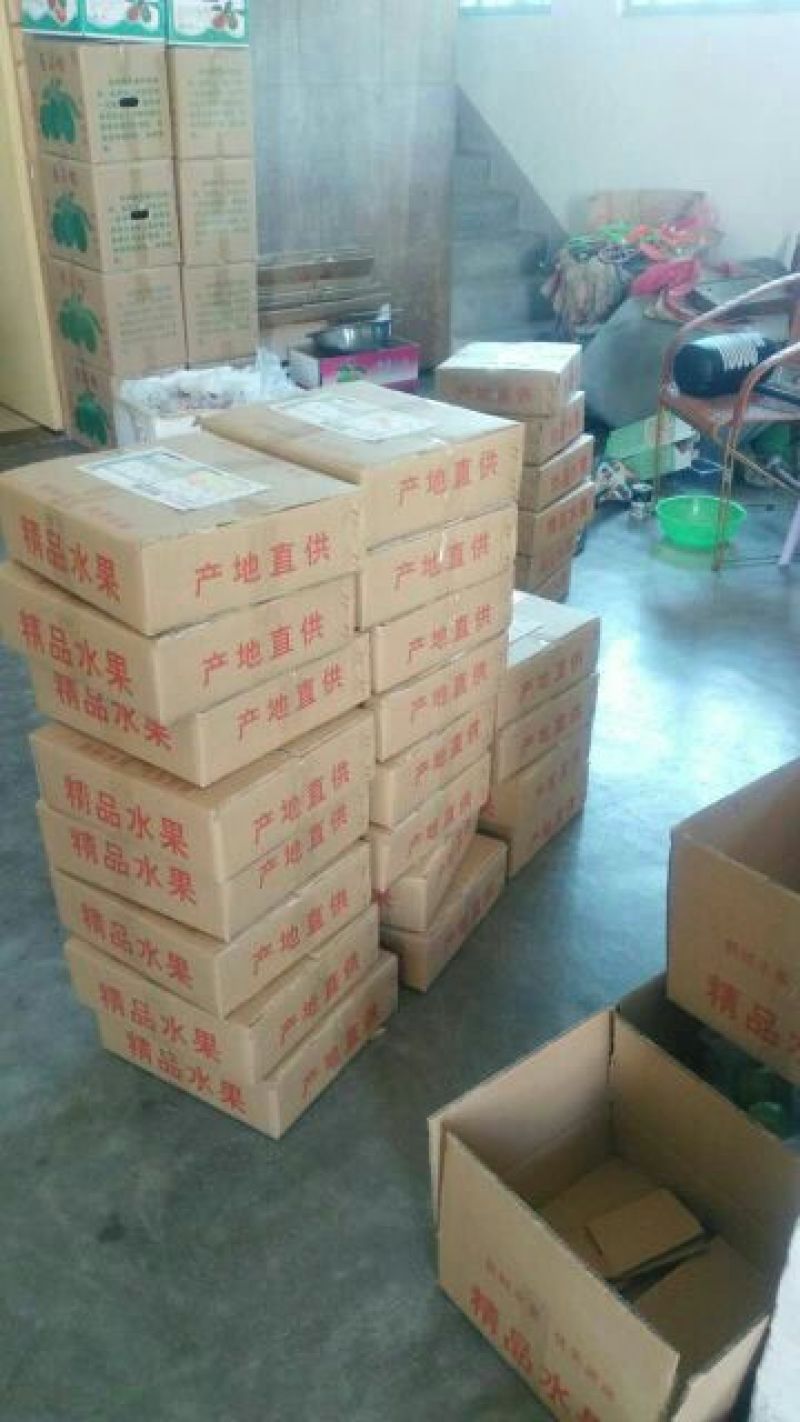 西瓜番石榴70~80mm红心
